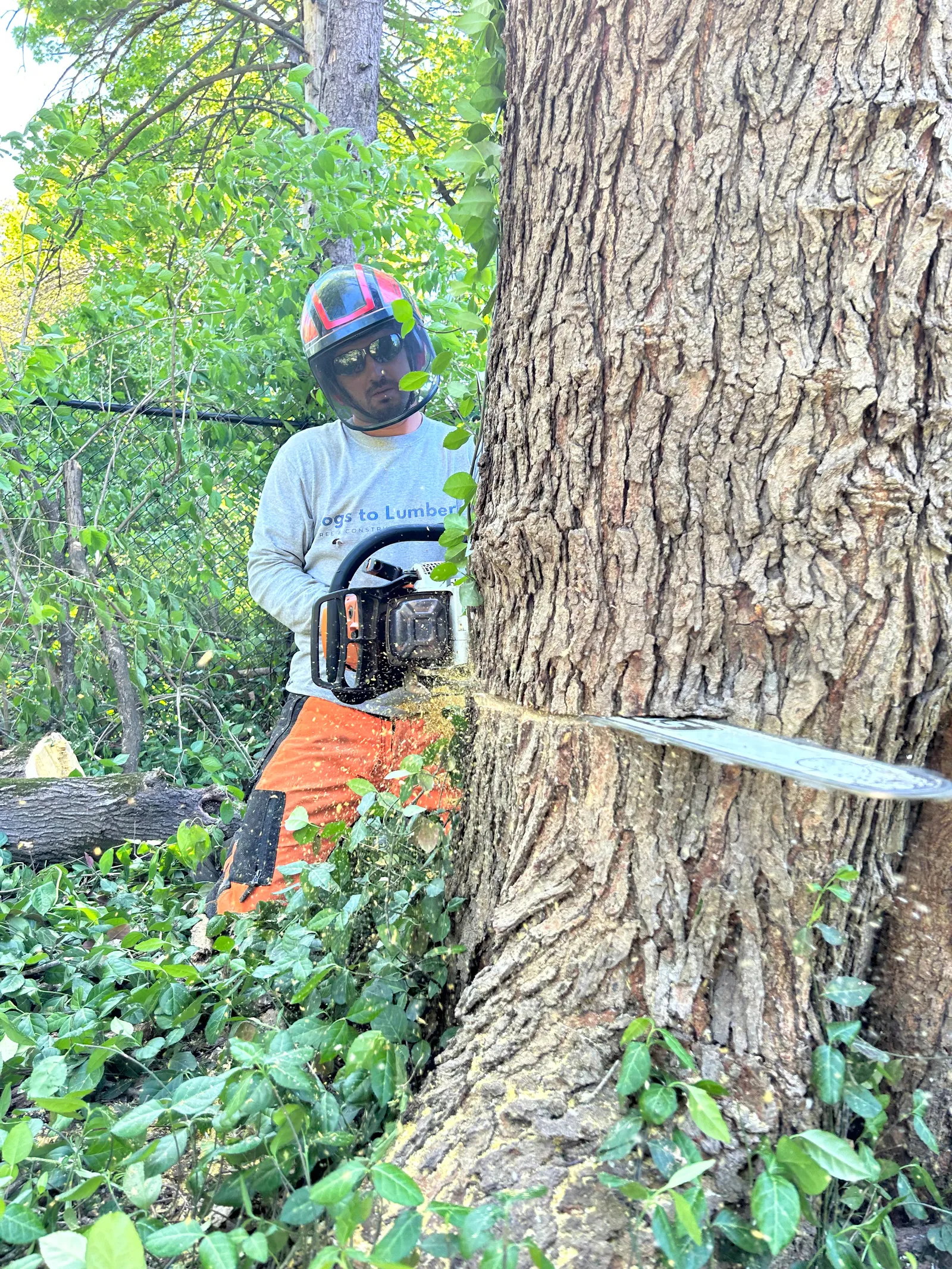 Scott H. Logs to Lumber